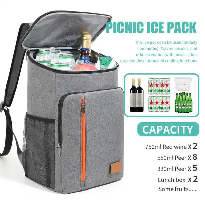 Insulated Cooler Backpack- Stylish Portable Fresh-keeping Picnic Outdoor Backpack and Travel Bag 18L (Black)