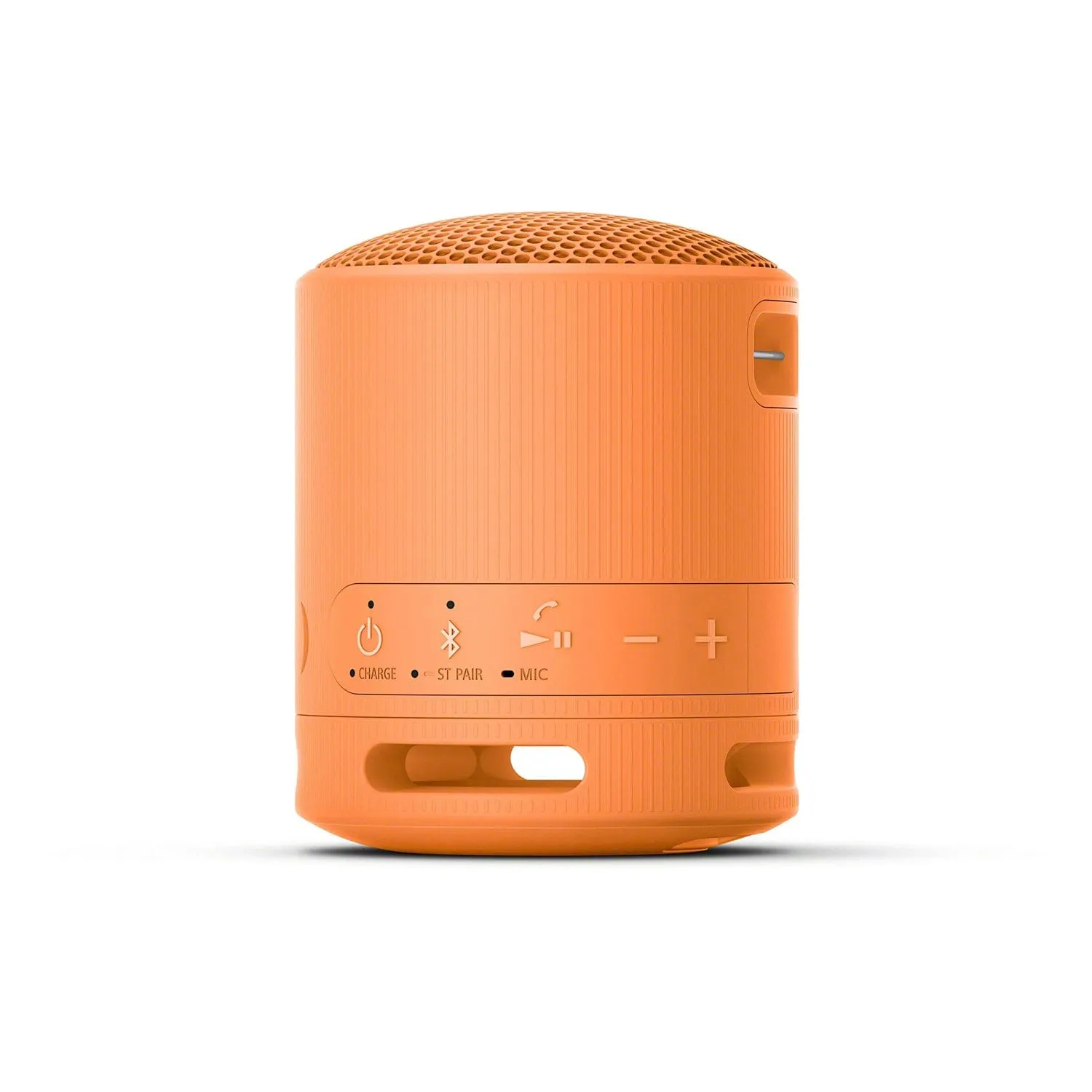 Sony SRS-XB100 Portable Wireless Speaker