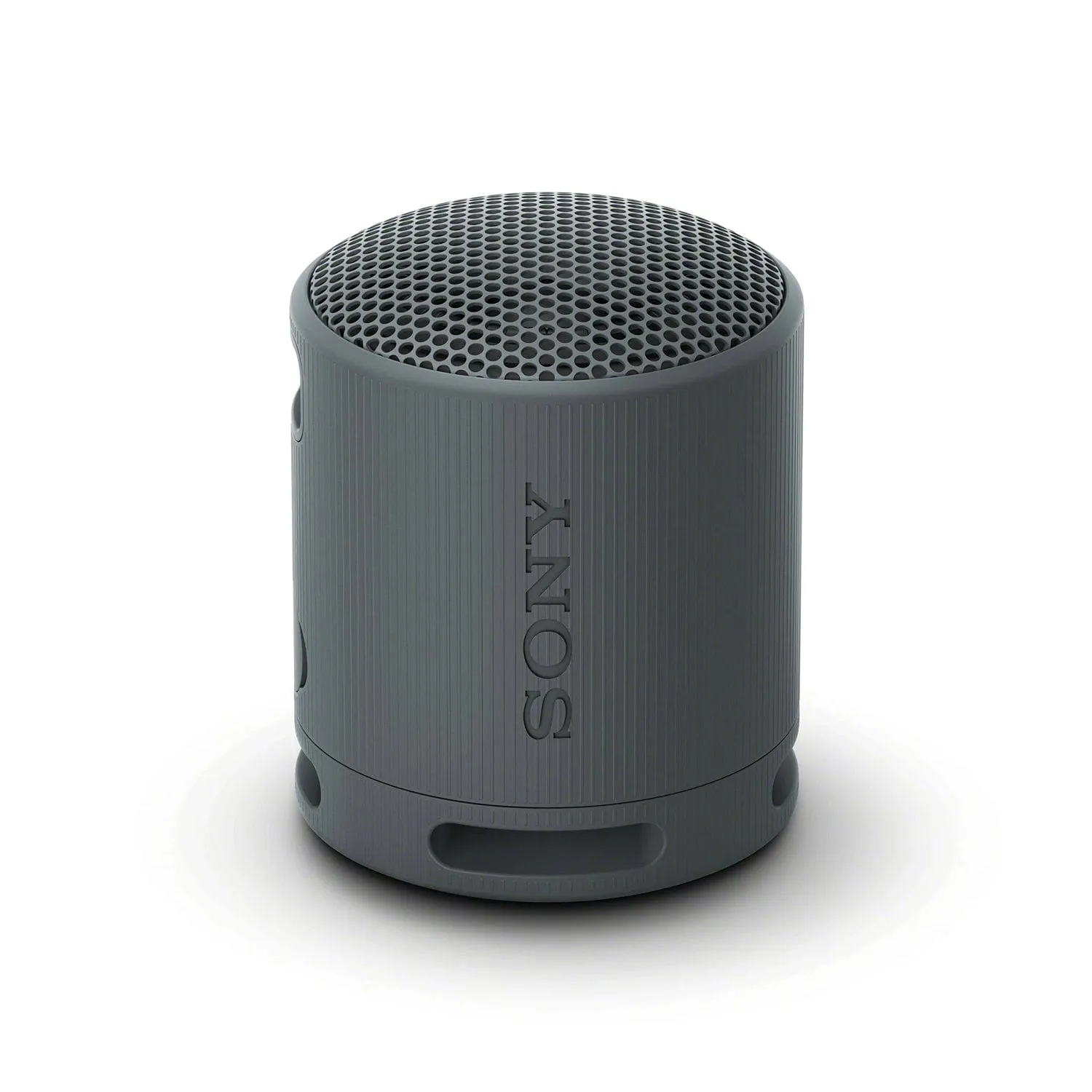 Sony SRS-XB100 Portable Wireless Speaker